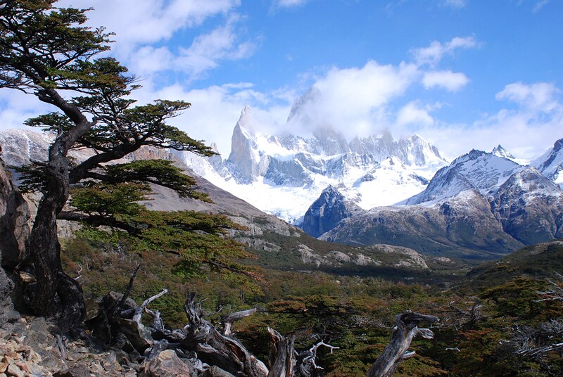 Bosque de lengas e montanhas nevadas perto de El Chaltén, Patagônia
